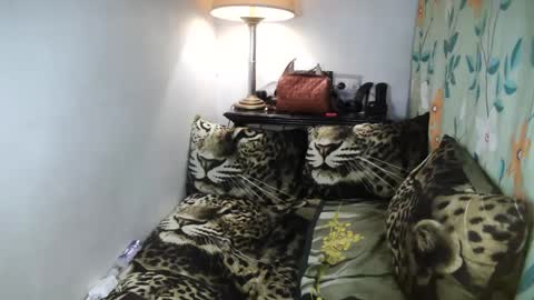 Snapshot of laureen_gavh chatting on 02/08/25, 10:08 Belle online show from 02/08/25, 10:08