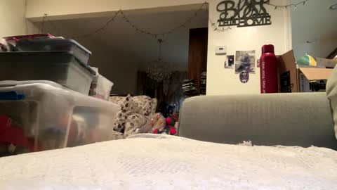 Snapshot of lawrencegreg106 chatting on 09/25/25, 01:09 lawrencegreg106 online show from 09/25/25, 01:09