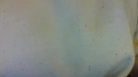 layannalea online show from 02/13/26, 07:04