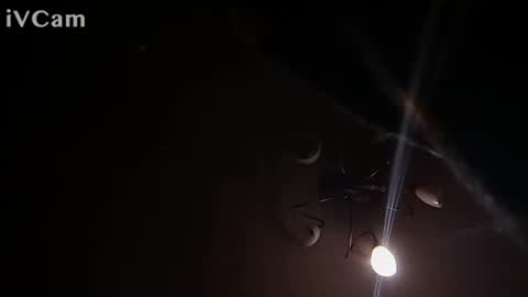 laydayy online show from 01/12/26, 10:37