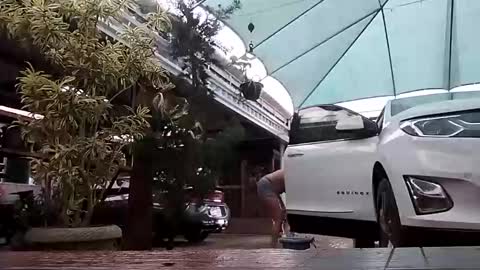 kelly online show from 11/01/25, 07:27