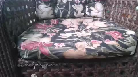 kelly online show from 02/15/26, 08:05