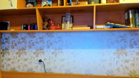 Snapshot of lazaret1k chatting on 12/29/24, 09:17 Vladi online show from 12/29/24, 09:17