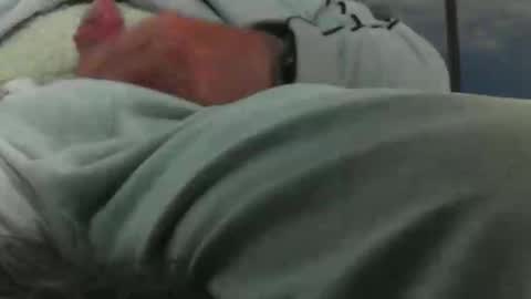 leckfreund53 online show from 10/03/25, 07:38