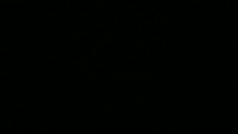 Snapshot of leeguy_hugedick chatting on 05/25/26, 07:25 Ebony DeafGuy online show from 05/25/26, 07:25