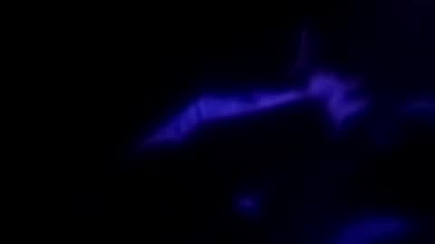 Snapshot of leemen33 chatting on 09/30/25, 09:14 Michael online show from 09/30/25, 09:14