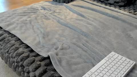 Elle  online show from 03/11/26, 06:41