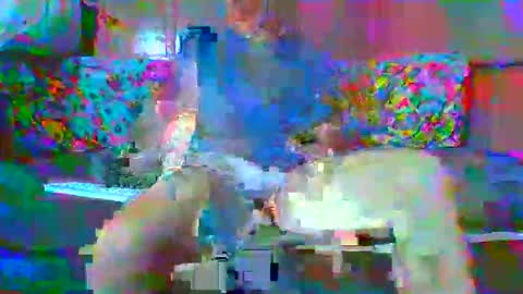 SEX  MASTER online show from 01/15/26, 01:43