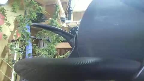 Snapshot of lenghtygirth chatting on 09/09/25, 07:46 HoleStretcher online show from 09/09/25, 07:46