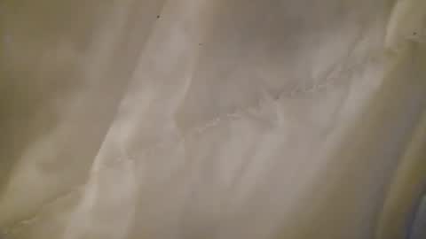 leojenks online show from 02/11/26, 07:02