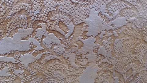 Snapshot of leoroman chatting on 02/06/25, 06:24 leoroman online show from 02/06/25, 06:24