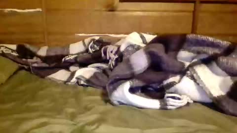 leskator9 online show from 11/07/25, 09:09