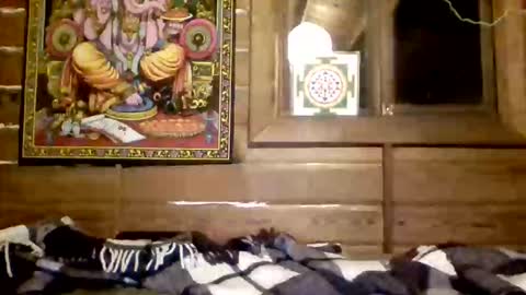 leskator9 online show from 03/31/26, 03:08