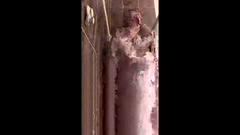 Rayne online show from 12/19/25, 09:11