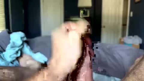 letmecumforyou71 online show from 09/20/25, 12:50