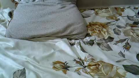 letshaveitbby online show from 11/15/25, 07:16