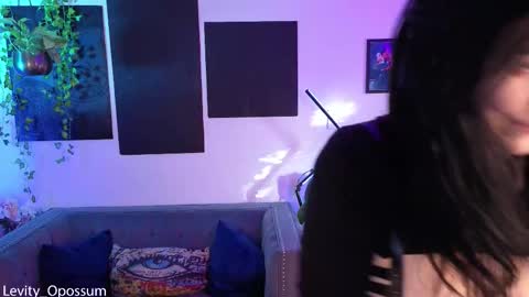 Levity online show from 11/26/25, 11:06