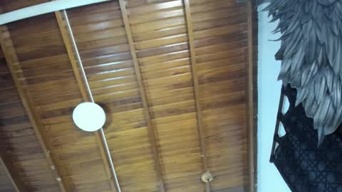 LevySteven online show from 11/16/25, 10:59