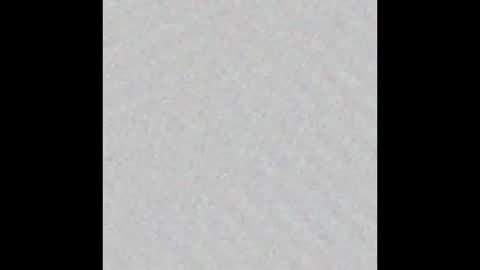 lewdy booty online show from 03/05/26, 02:18