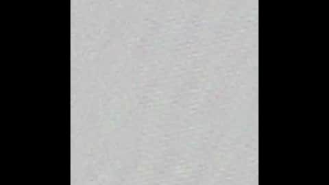 lewenzi online show from 12/01/24, 07:58