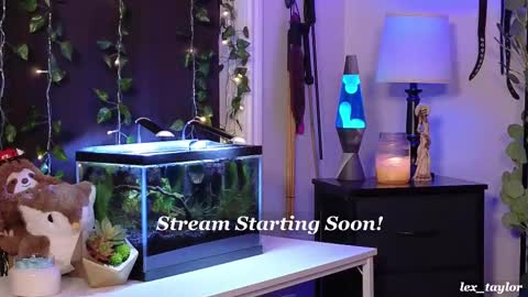 Snapshot of lex_taylor chatting on 02/18/25, 04:37 Lex online show from 02/18/25, 04:37