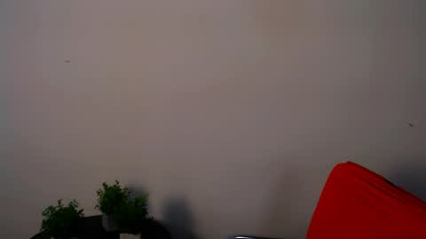 Alexia online show from 05/15/26, 11:17