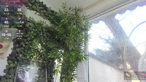 lexi_storm online show from 02/12/26, 08:09