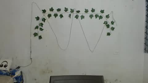 lolita online show from 01/04/25, 02:14