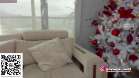 INSTA leylasteel model         online show from 12/24/24, 02:01