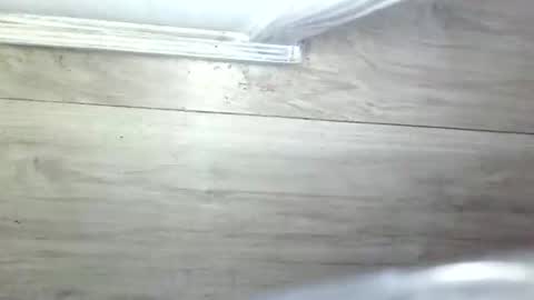 Olive Pena online show from 05/14/26, 11:06