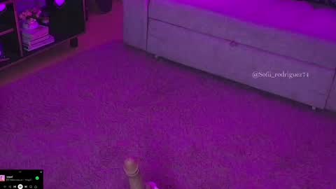 Snapshot of liaa_rodriguezz chatting on 02/19/25, 02:55 Liaa  online show from 02/19/25, 02:55