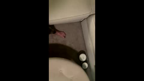 liamleggings online show from 12/01/25, 02:38