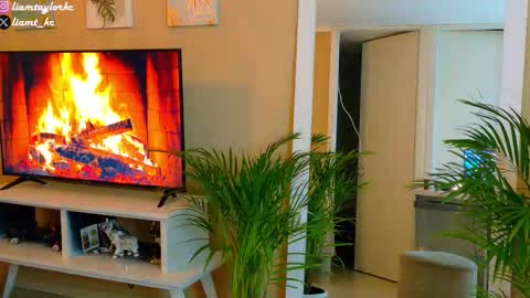 Snapshot of liamtaylor_ chatting on 09/30/25, 03:55 Tell me Liam online show from 09/30/25, 03:55