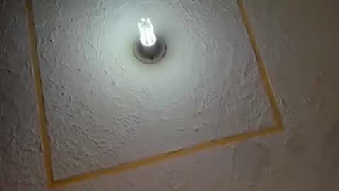 lianfox_ online show from 07/11/26, 12:30