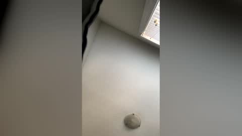 lickherking79 online show from 05/05/26, 11:35