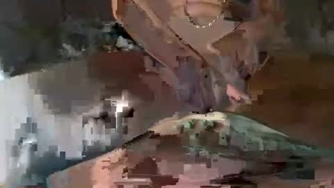 lickseeandbemee online show from 10/28/25, 05:44