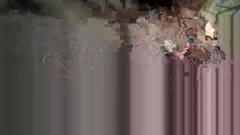 Light Mage online show from 03/24/26, 05:56