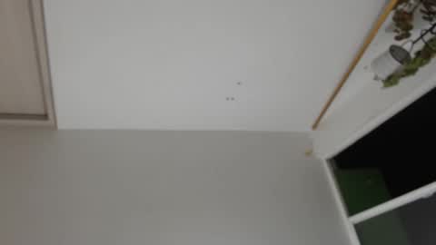 liiz5 online show from 12/31/24, 01:26