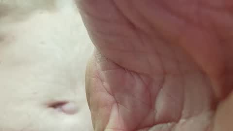 like_fun_ online show from 04/08/26, 05:51