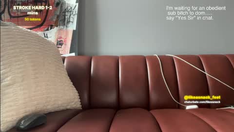 likeasnack online show from 04/15/26, 02:24