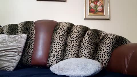 Snapshot of likechoco chatting on 12/19/24, 10:53 Celine online show from 12/19/24, 10:53