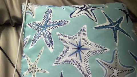 likefhot online show from 11/17/25, 05:02