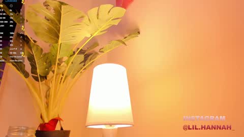 Hanna online show from 12/23/24, 03:01