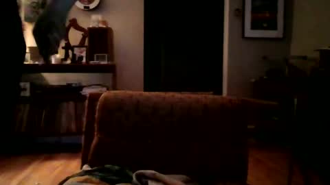 Snapshot of lildeer1980 chatting on 01/08/25, 08:16 lildeer1980 online show from 01/08/25, 08:16