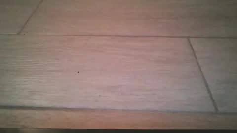 lildicksissy online show from 11/22/25, 11:59