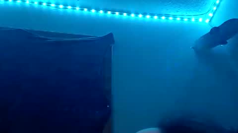 lildman420 online show from 11/12/25, 08:48