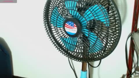 yesica online show from 12/17/24, 11:38