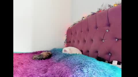 Snapshot of lilithintheeden chatting on 02/08/25, 08:32 Lilith online show from 02/08/25, 08:32