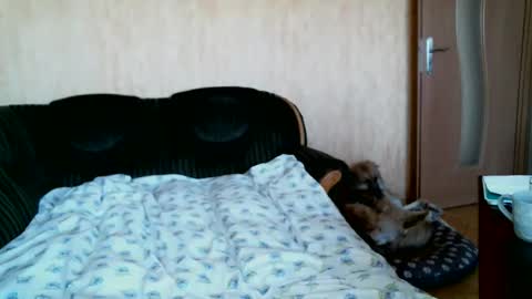 Lenkaa777 online show from 04/01/26, 12:28