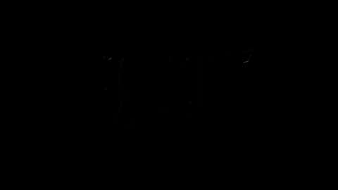 lilpresident online show from 02/04/25, 10:13